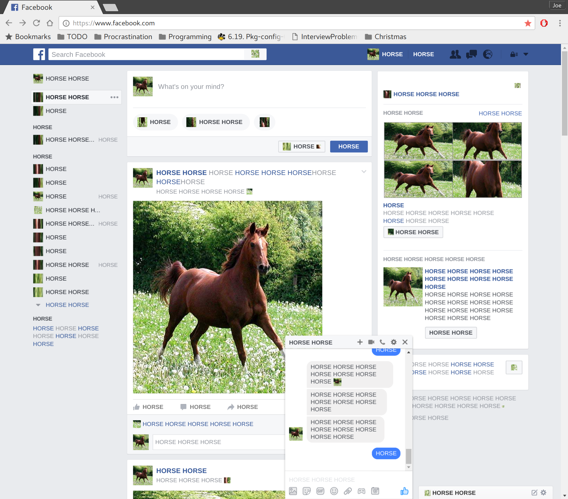 Horse